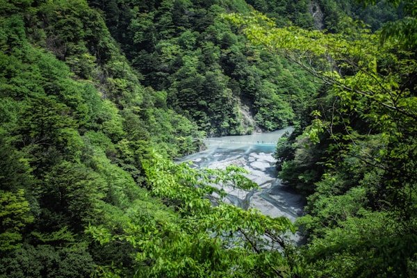 绿源环保公益短剧《地球守护者》 绿源环保公益短剧《地球守护者》 - 短剧网2客户案例展示
